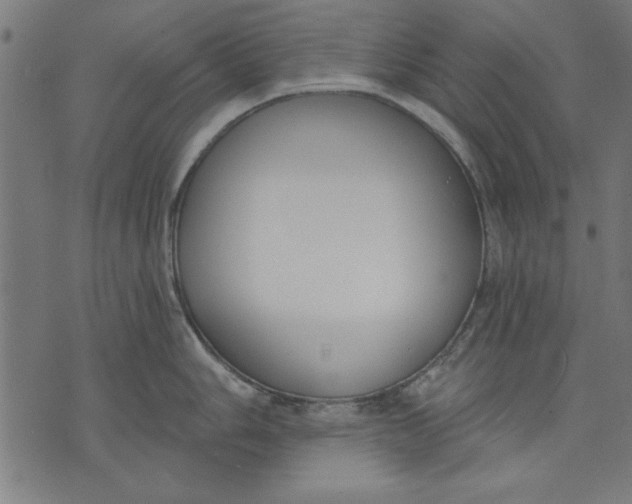 X0000073481006200608211620