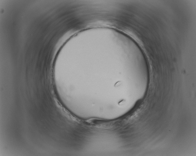 X0000073481008200608211620