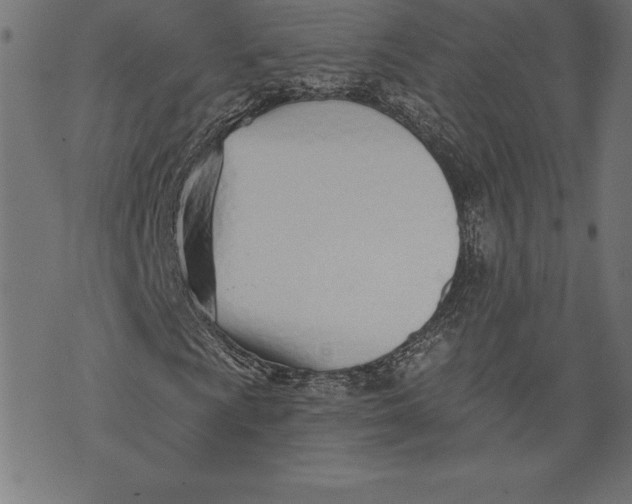 X0000073481009200608211619