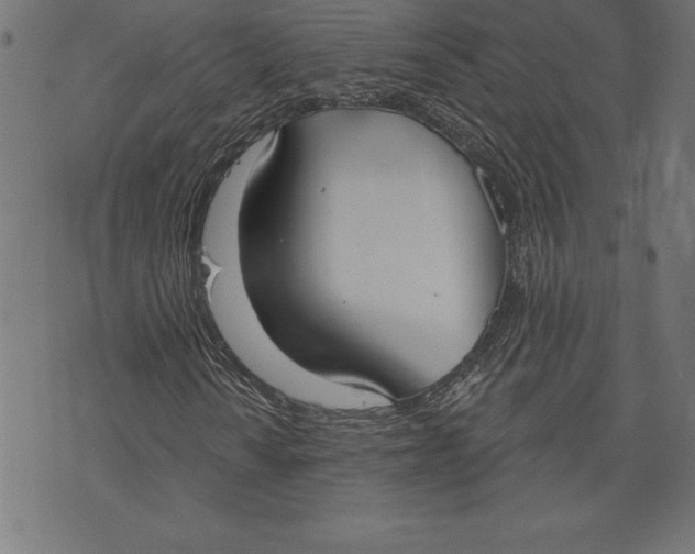 X0000073481010200608211619