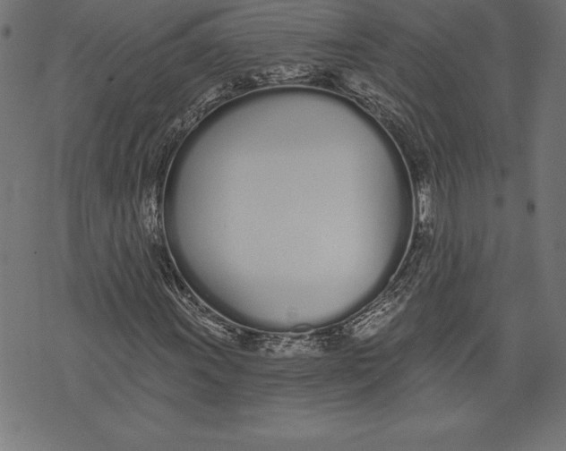 X0000073481011200608211619