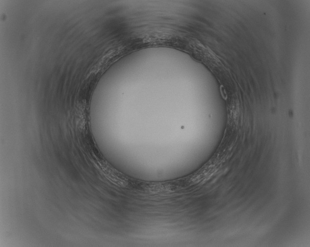 X0000073481012200608211619