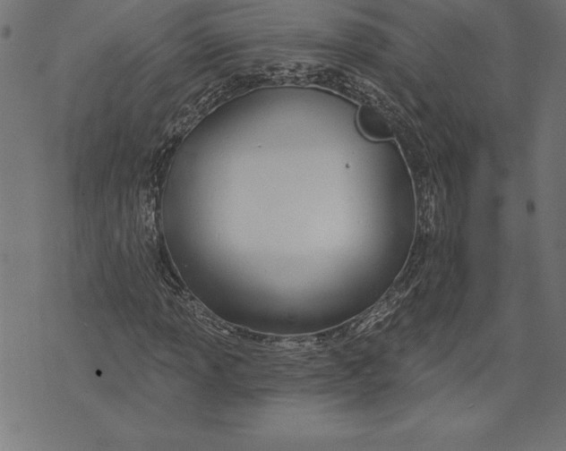 X0000073481013200608211619