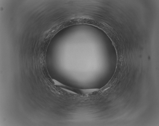 X0000073481014200608211619