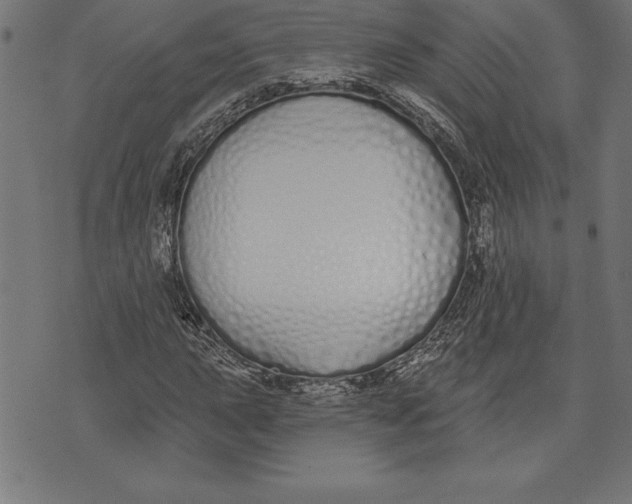 X0000073481015200608211619