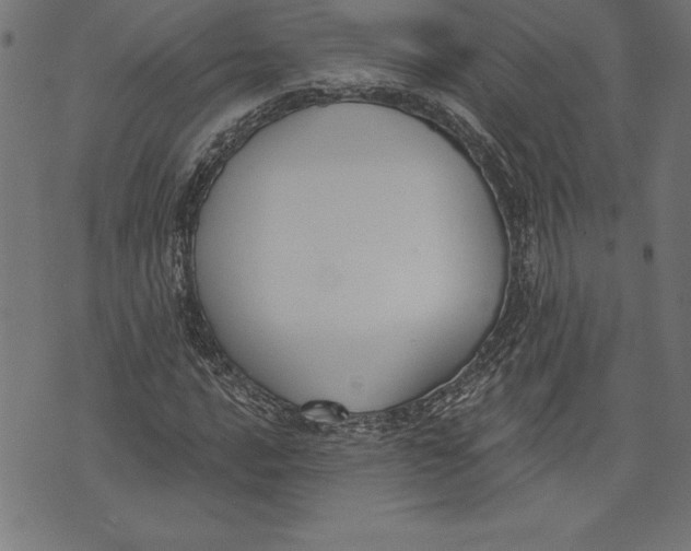 X0000073481016200608211619