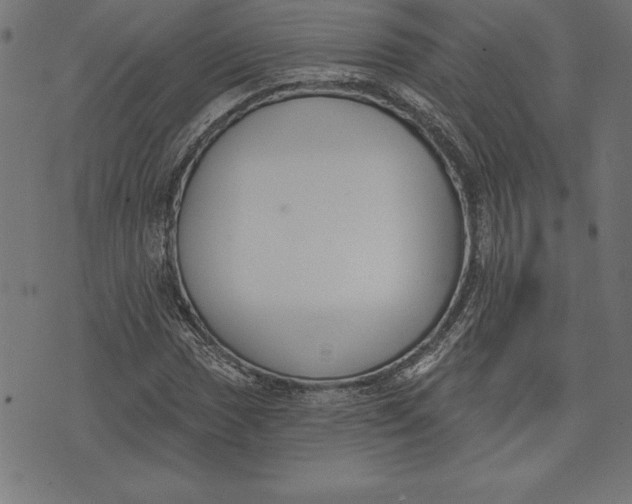 X0000073481017200608211619