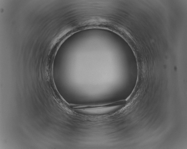 X0000073481018200608211619