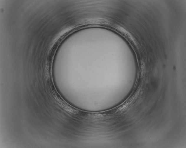 X0000073481019200608211619