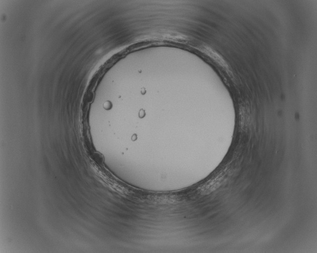 X0000073481020200608211619