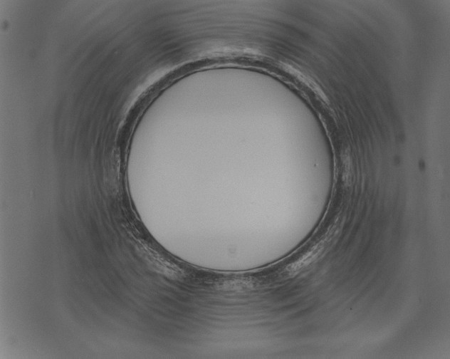 X0000073481021200608211619