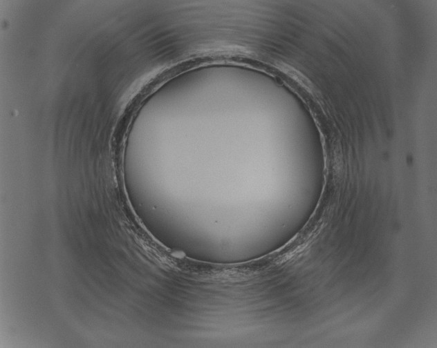 X0000073481022200608211619