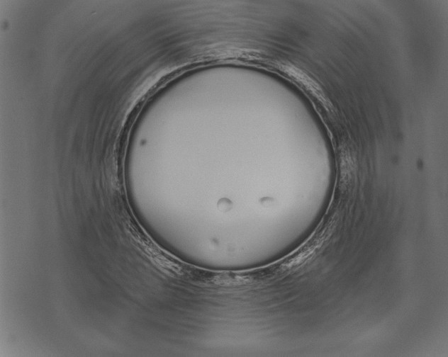 X0000073481023200608211619