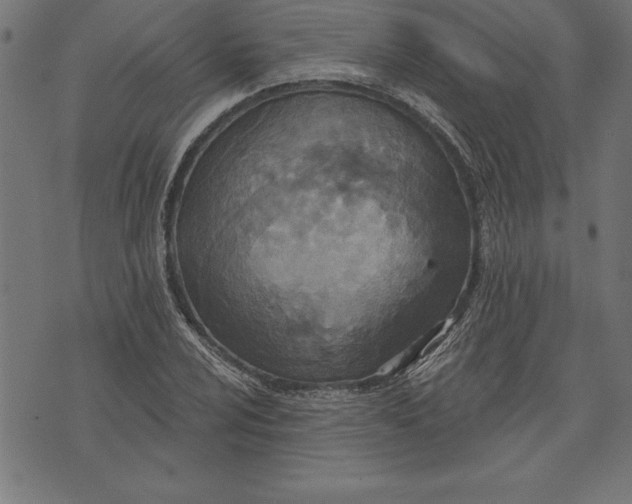 X0000073481024200608211619