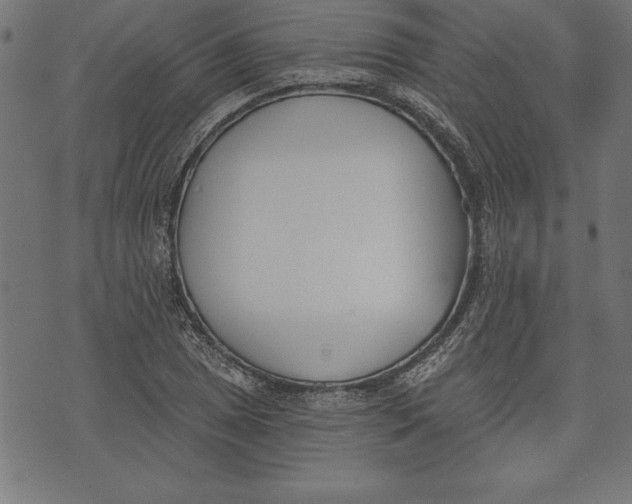 X0000073481025200608211619