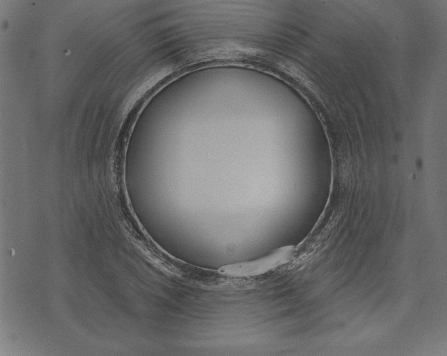 X0000073481026200608211619