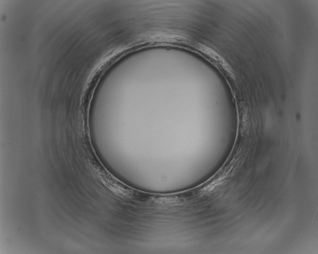 X0000073481027200608211619