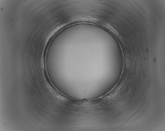 X0000073481028200608211619