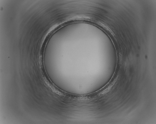 X0000073481029200608211619