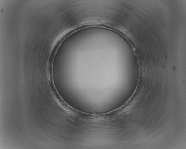 X0000073481030200608211620