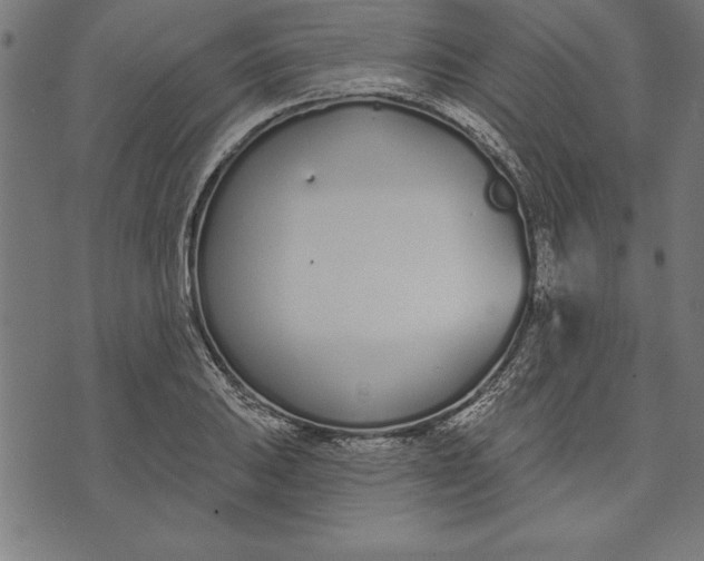 X0000073481031200608211620