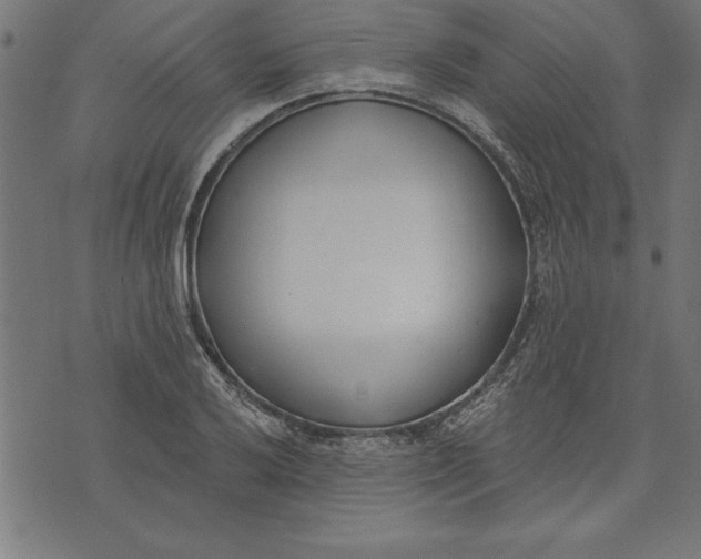 X0000073481032200608211620