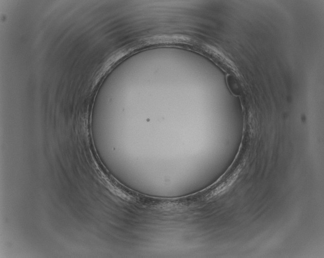 X0000073481033200608211620