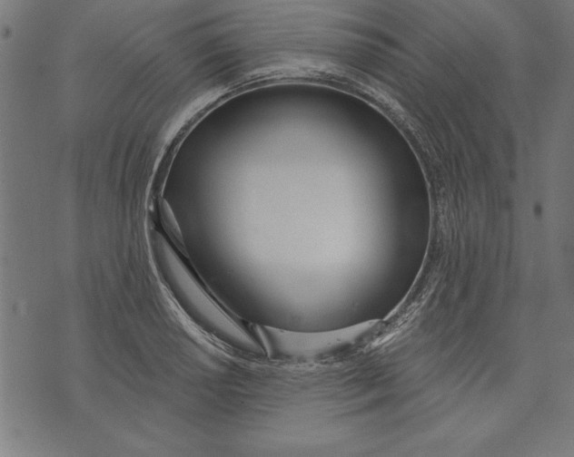 X0000073481034200608211620