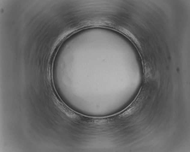 X0000073481035200608211620