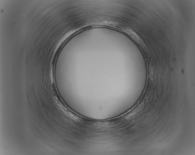 X0000073481036200608211620