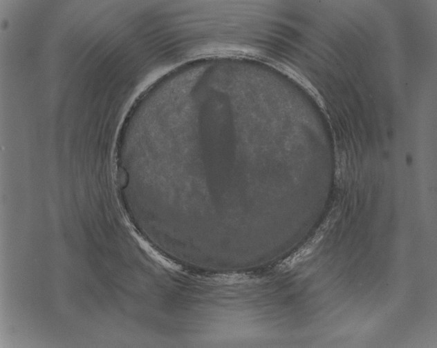 X0000073481037200608211620