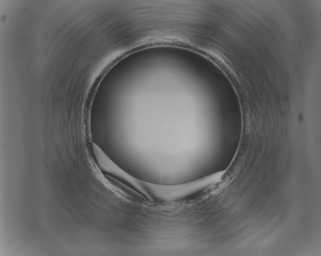 X0000073481038200608211620