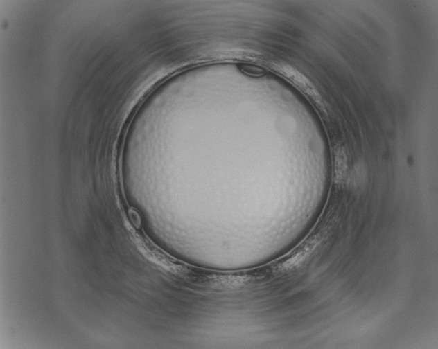 X0000073481039200608211620