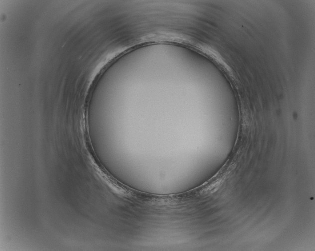 X0000073481040200608211620