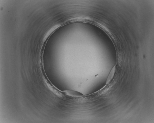 X0000073481042200608211620