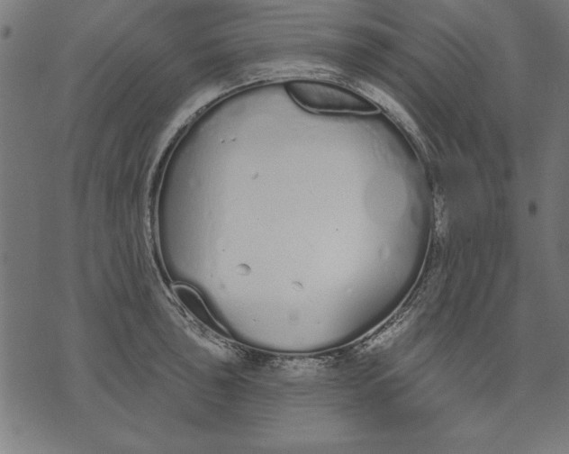 X0000073481043200608211620