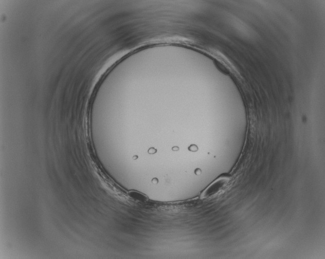 X0000073481044200608211620