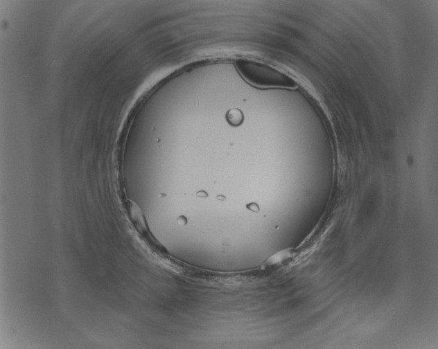 X0000073481045200608211620