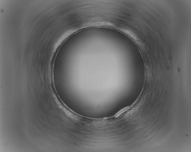 X0000073481046200608211620