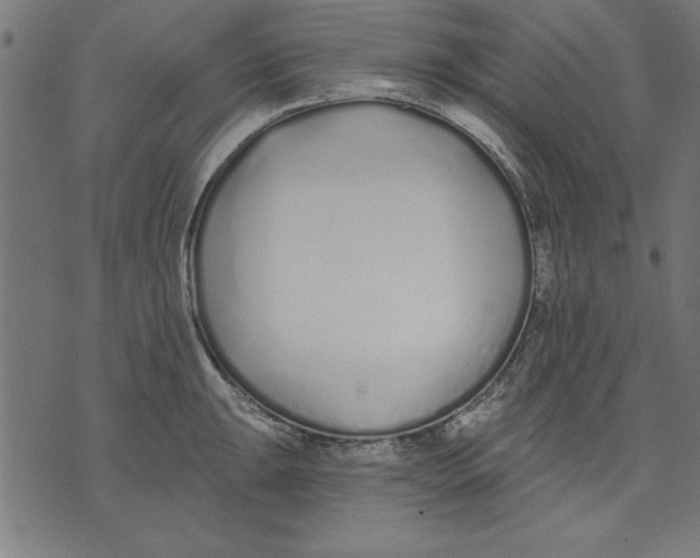 X0000073481047200608211620