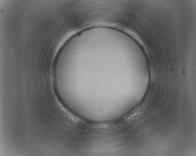 X0000073481048200608211620