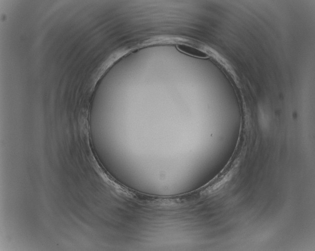 X0000073481049200608211620