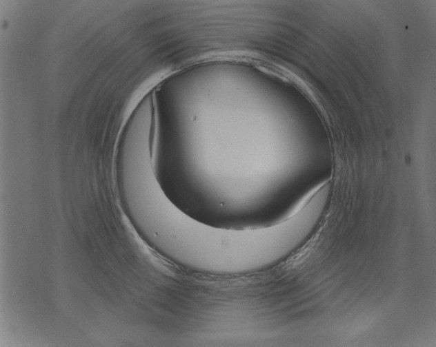 X0000073481050200608211620