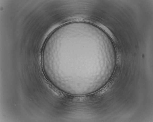 X0000073481051200608211620