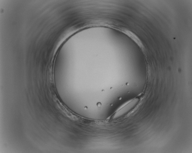 X0000073481052200608211620