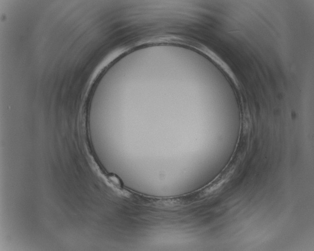 X0000073481053200608211620