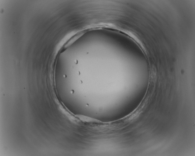 X0000073481054200608211620