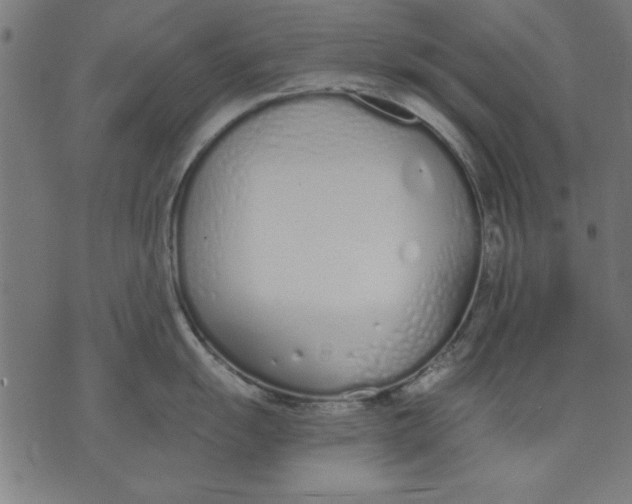 X0000073481055200608211620