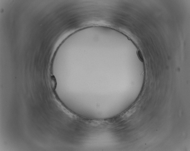 X0000073481056200608211620