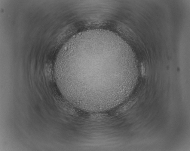 X0000073481059200608211619